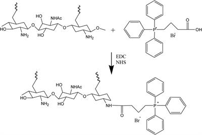 The Apoptosis of Liver Cancer Cells Promoted by Curcumin/TPP-CZL Nanomicelles With Mitochondrial Targeting Function